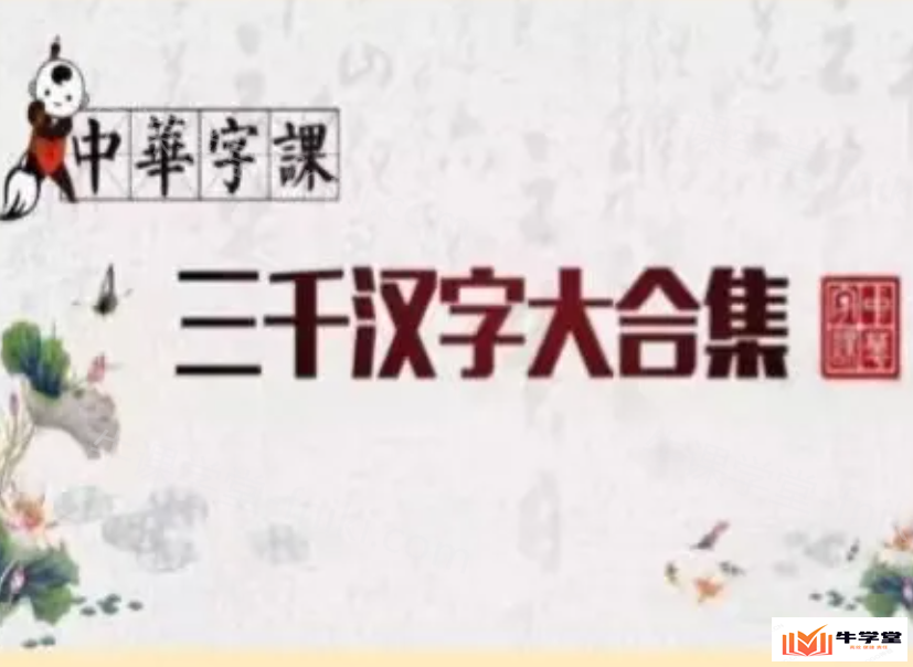 给孩子看的中华字课程视频_3000汉字大合集网课教程讲解