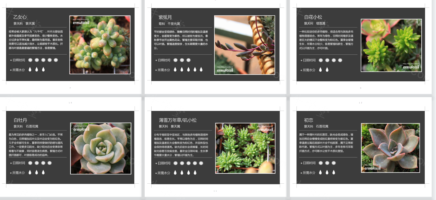 100种常见多肉植物图鉴电子资料下载家庭盆景多肉植物养殖教程资源