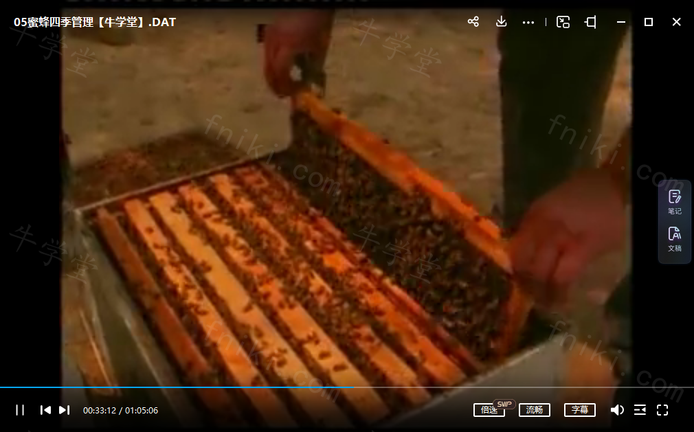 蜜蜂养殖技术视频教程手把手教你如何养蜂蜜网课蜂病害与敌害防治教学课程