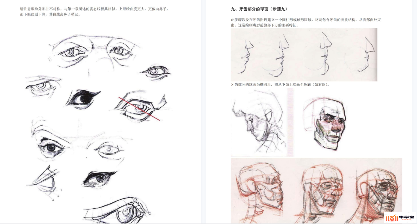 人体绘画:设计与创造(汉化版)pdf电子版百度运网盘下载